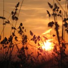 fotovario: Abendstimmung